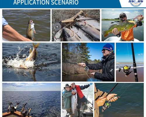 fishing reel bearing 6